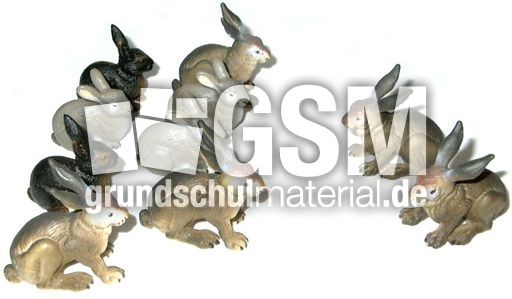 Hasen8+2.jpg